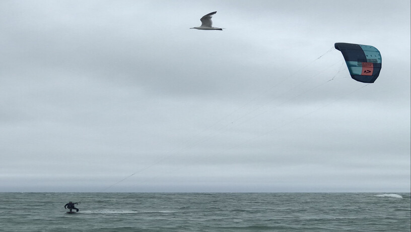 duotone-rebel-11m2-big-1