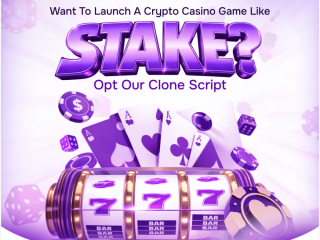 stake-clone-script-with-free-consultation-advanced-betting-features